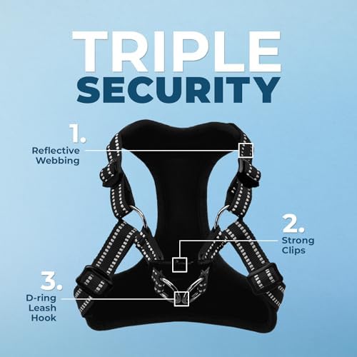 Best Pet Supplies Voyager Adjustable Step-in Flex Breathable Mesh Dog Harness for Small Medium Large Dogs Leash Set (Black), S