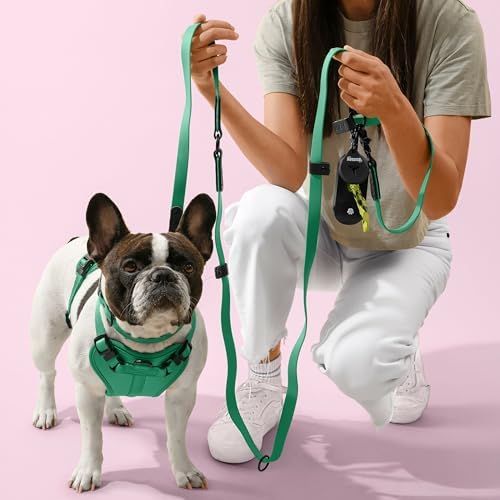 WLK1005K-5SET Luna Medium 8FT Adjustable 6-in-1 Waterproof Hands-Free Leash and Collar with LED Flashlight, Bag Dispenser, and Poop Bag Holder, Julep