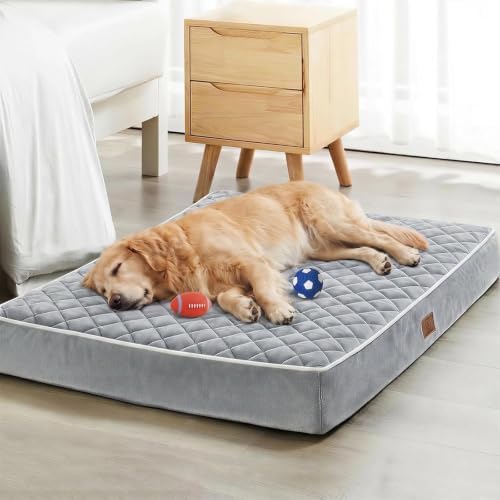 WNPETHOME Orthopedic Giant Human Dog Beds for Adult & Dog Cozy Sleep