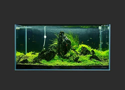 LANDEN Aquarium 100P 50 Gallon Ultra Clear Glass Rimless Fish Tank