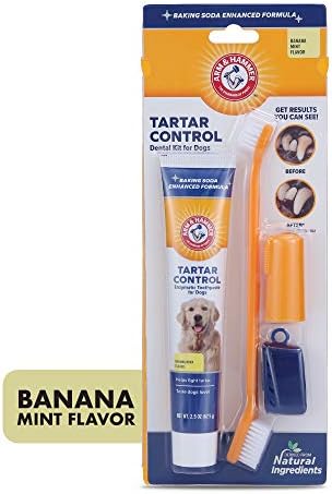 Arm & Hammer Tartar Control Dog Dental Kit, Banana Mint, 3-Piece, 2-Pack