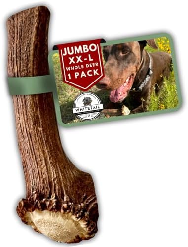 WhiteTail Naturals Monster XXL Whole Deer Antler for Giant Dogs - 7-8"