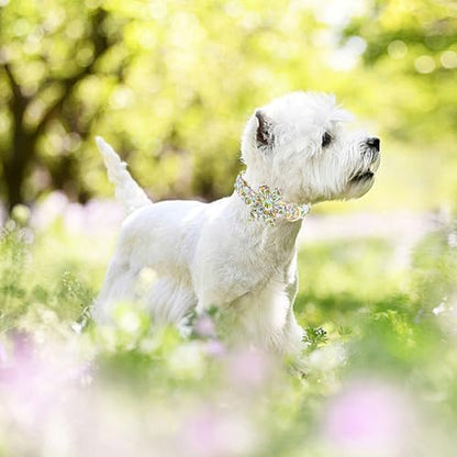 Dog Collar with Flower-Cute Bee Adjustable Pet Collar Soft Pink Flower Spring Cotton Puppy Collar Metal Buckle for Large Dogs