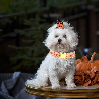 Dog Collars, Fall Dog Collars Halloween Puppy Pumpkin Print Pet Collars Durable Metal Comfortable Dog Collar Puppy Adjustable Dog Collar for X-Large Dogs