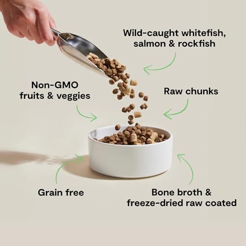 Open Farm RawMix Dry Cat Food, Wild Ocean Grain Free Kibble, 8lb Bag