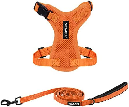 Best Pet Supplies Voyager Step-in Lock Pet Harness w Reflective Pet Leash Combo Set with Neoprene Handle 5ft - Supports Small, Medium and Large Breed Puppies/Cats - Orange, XXS