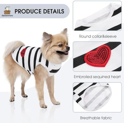 Queenmore Small Dog Shirt,Soft Breathable Dog Shirt for Dogs Cats Boy Girl,Pet Clothes for All Season,Breathable Lightweight Pet Tshirt for Frenchie, Dachshund, Yorkie