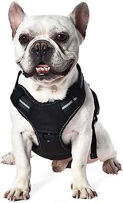 Amazon Basics No-Pull Dog Harness, Adjustable Front Clip, Escape Proof Tactical Vest, Small, Black