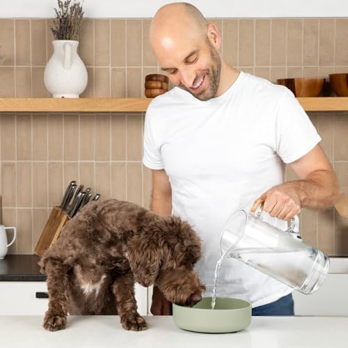 The Perfect Dish - Silicone Dog Bowl for Food & Water, 7.5"x2.25"- Sage