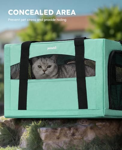 Pecute Cat Carrier Stable, Pet Carrier with Privacy Partition,Light Green