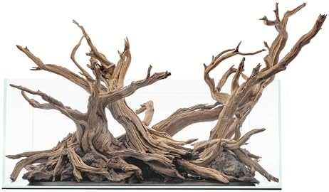 Ultum Nature Systems Ultra Clear Rimless Aquarium - Low Iron Glass Fish Tank with 45° Mitered Edges, 5mm-12mm Thick, Leveling Mat Included (25S, Shallow, 2 Gallon)