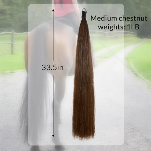 33.5 IN Long 1 LB Horse Tail Extension with Braided Horsehair Loop & Blunt Cut Bottom (Medium Chestnut)