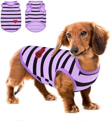 Queenmore Large Dog Shirt,Soft Breathable Dog Shirt for Dogs Cats Boy Girl,Pet Clothes for All Season,Breathable Lightweight Pet Tshirt for Frenchie, Dachshund, Yorkie