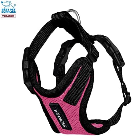 Best Pet Supplies Voyager Step-in Lock Pet Harness w Reflective Pet Leash Combo Set with Neoprene Handle 5ft - Supports Small, Medium and Large Breed Puppies/Cats - Fuchsia/Black Trim, XXXS