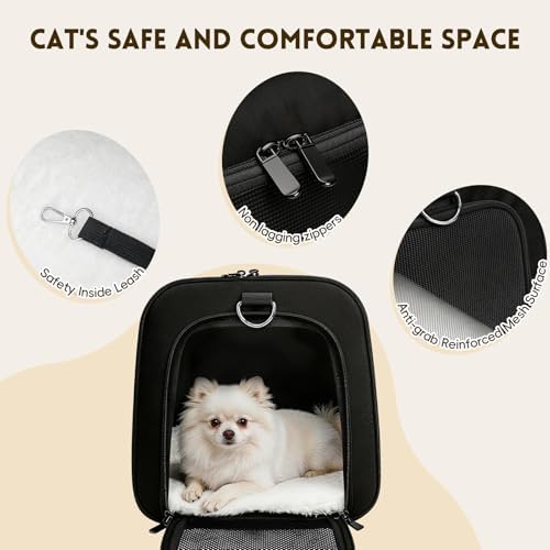 Cat Carrier Soft, Dog Carriers for Small Dog/Large Cat (Up to 16lb)