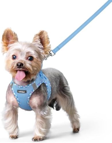 rabbitgoo Dog Harness Small Sized and Leash Set, Step-in Puppy Pet Vest