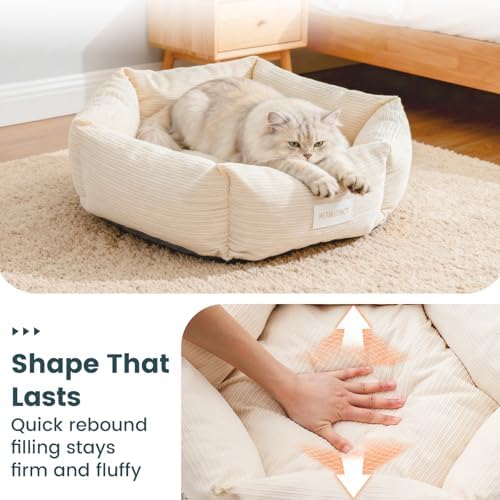 Cat Bed, 22 Inch Donut Pet Bed for Cats & Small Dogs, White
