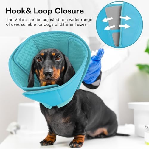 Queenmore Soft Dog Cone Collar, Comfortable Cones for Small Dogs/Cat