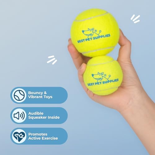Best Pet Supplies Interactive Squeaky Dog Chew Toy, Ideal Dog Toys for Chewers, Small, Medium & Large Dogs, and Fetch Lovers - Tennis (Yellow), Large (Pack of 4)