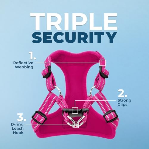 Voyager Step-in Flex Adjustable Dog Harness - Fuchsia, Small