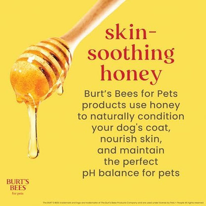 Burts Bees for Pets Waterless Shampoo Spray, with Apple & Honey, 10 Oz, 6Pk
