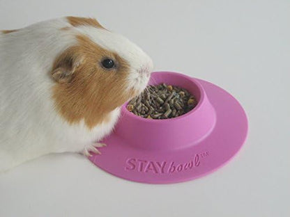 Tip-Proof Ergonomic Pet Bowl for Guinea Pig and Other Small Pets, 1/4-Cup Small Size, Lilac (Purple) (Pack of 2)