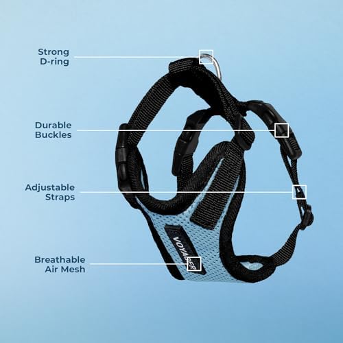 Voyager Step-in Lock Dog Harness - Baby Blue/Black Trim, Large