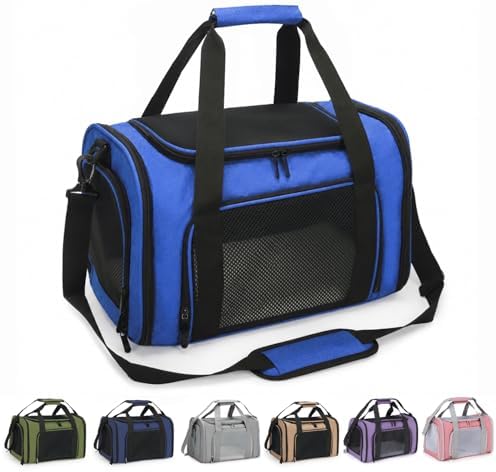 Large Pet Carrier for Cats and Small Dogs, Soft-Sided Travel Carrier with Safety Leash, Scratch-Resistant Mesh, Reinforced PVC Support Base, Foldable Design, 20 x 13 x 13 Inches
