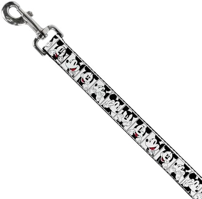 Disney Dog Leash