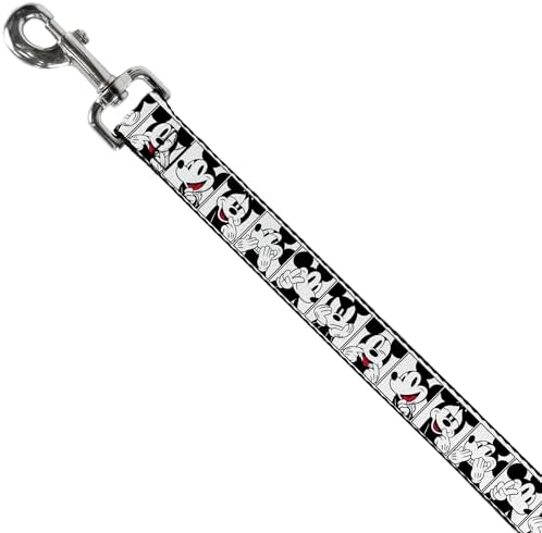 Disney Dog Leash