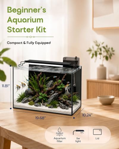 10 Gallon Glass Aquarium Kit, Rimless Fish Tank with LED & Filter, Black