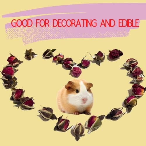Edible Dried Rose - Made with Real Flower - Cage Decoration, Snacks and Food - for Sugar Glider, Rabbits, Guinea Pigs and Small Animal Pet (10g)