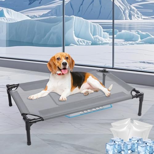 34'' Outdoor Elevated Dog Bed,Raised Dogs Bed,Dog Cot,Dog Cooling Bed-Small