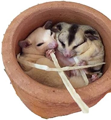 1 Sachet Sugar Glider, Hamster, Squirrel, Hedgehog, Chinchillas, Rabbit, Ferret, Small Exotic Pet Food Supplies Fish Snack 30 g. + 10% Bonus = 33 g.