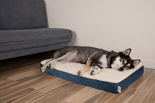 Best Pet Supplies Soft Plush Cute Indoor Dog Bed for Small, Medium, and Large Breeds - Blue, 41x29x4