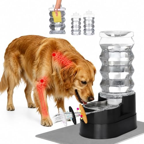 RIZZARI 8L Elevated Dog Water Dispenser: Large Dogs Senior Pets Filtered