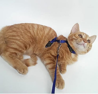 2 Pcs Adjustable Bunny Rabbit Harness with Leash Cat Puppy Walking Harness Leash Pet Harness Leash for Pigs Hamster Small Animals Red and Blue