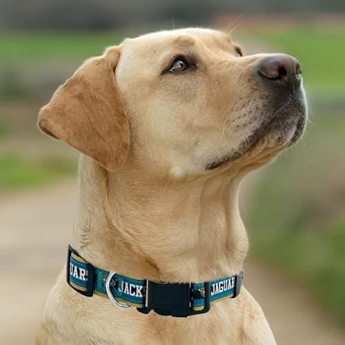 NEW & Improved Pets First NFL Jacksonville Jaguars Licensed PET Collar, Large - Heavy-Duty, Strong, and Durable NEW Dog Collar. Available in 32 Football Teams and 4 Sizes