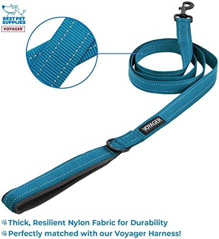 Best Pet Supplies Voyager Step-in Lock Pet Harness w Reflective Pet Leash Combo Set with Neoprene Handle 5ft - Supports Small, Medium and Large Breed Puppies/Cats - Turquoise/Black Trim Set, XXS