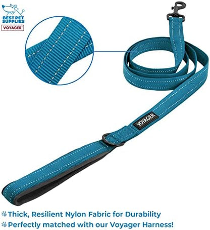 Best Pet Supplies Voyager Step-in Lock Pet Harness w Reflective Pet Leash Combo Set with Neoprene Handle 5ft - Supports Small, Medium and Large Breed Puppies/Cats - Turquoise/Black Trim Set, XXS