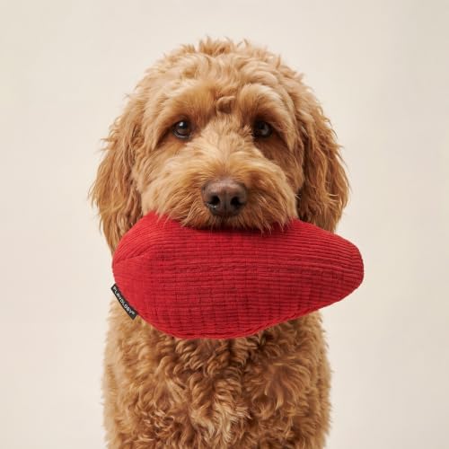 Playology Durable Plush Chew Toy - Crinkle Egg - Jumbo, Beef Scent