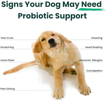 Dog Probiotics and Multivitamin Chews for Digestive Health, Immune Support, Gut Health, Allergy Support, Dog Vitamins, with Vitamin C, Omega 3, Colostrum, 60 Soft Chews per Jar