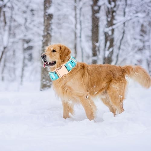 Dog Collar, Blue Bear Print Pet Collar Girl or Boy Dog Collars Summer Durable Adjustable Collar for Small Medium Large Dogs