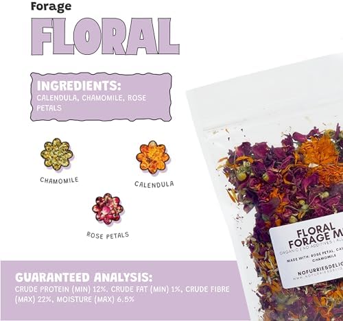 Forage Mix,100% All Natural Botanical Herb Treat for Rabbit Hamster Guinea Pig Chinchilla Chicken Hermit Crab Gerbil Degu & Other Small Animals (Floral Forage Mix 25g)