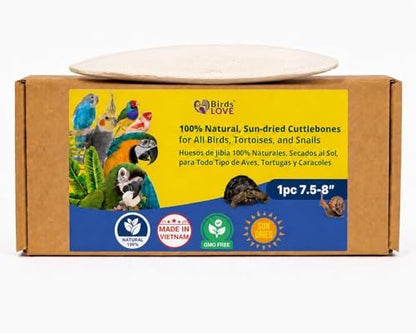 Birds LOVE 7.5-8" Cuttlebone for Birds – 100% Natural Sun-Dried Calcium Carbonate Mineral Supplement – for Parakeets, Budgies, Cockatiels, Finches & Canaries – 1 Pack with Holder – Made in Vietnam