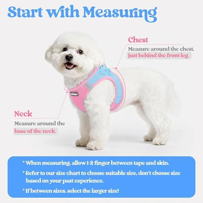 rabbitgoo Dog Harness Medium Sized and Leash Set, Step-in Puppy Pet Vest