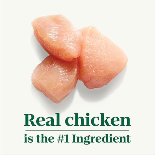 Nutro Hearty Stew Wet Dog Food, Tender Chicken, 12.5 oz, 12 Pack