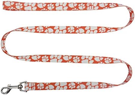 Littlearth NCAA Unisex NCAA Pet Leash