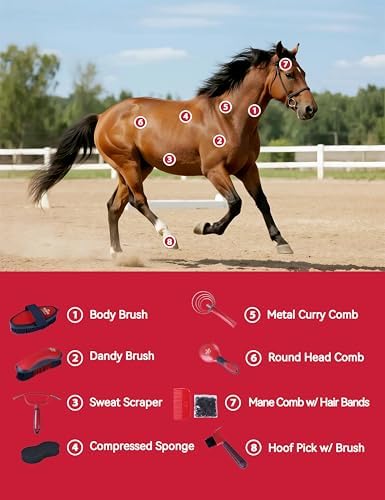 Horse Grooming Kit, 9 Piece Grooming Brush Set with Silicone Curry Comb for Bathing & Shedding Shadowberry