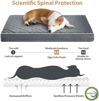 WNPETHOME Orthopedic Waterproof Extra Large Senior Dogs Bed for Comfy Sleep